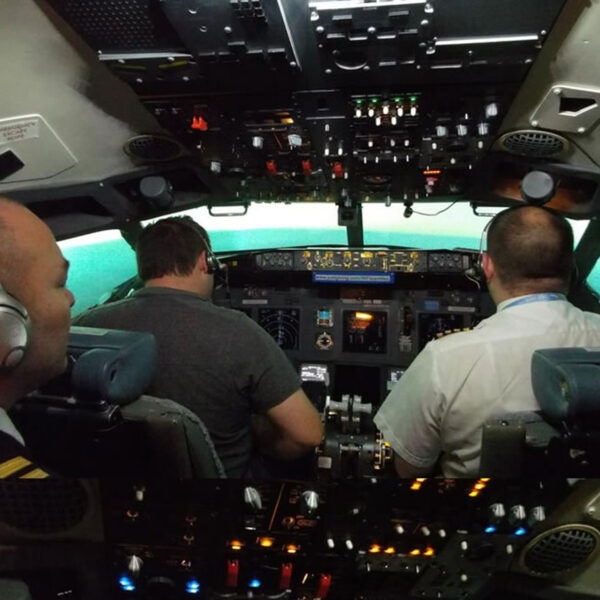 flight simulator 1